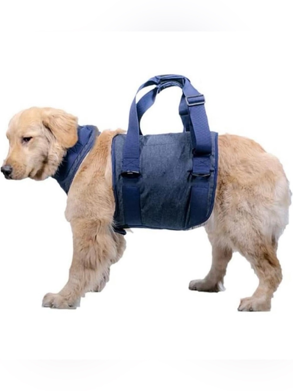 Merrymilo Dog Lift Harness Size: S Non-slip Adjustable Breathable Durable NEW Re
